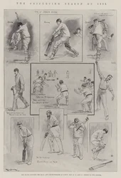 Die Cricket-Saison von 1901